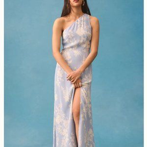 NWT Reformation Evelyn Maxi Dress Sz2 Aliso Floral